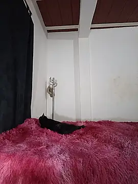 jaramilloali Live Web Cam Show