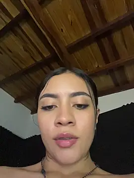 _iink_ webcam
