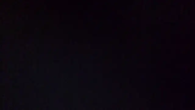 NuttyProfesir webcam