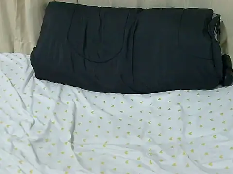 leestyline webcam