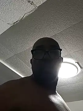 Randyable webcam
