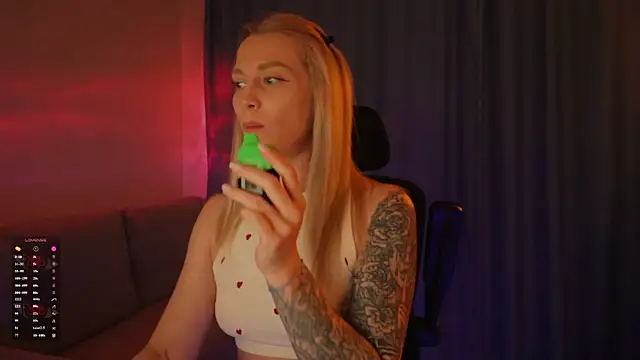 AskAlexa webcam