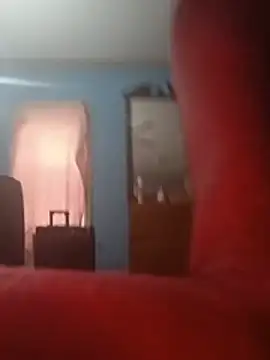 ReallyReallyReal webcam