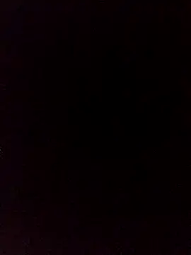 BuirdlyVerse webcam