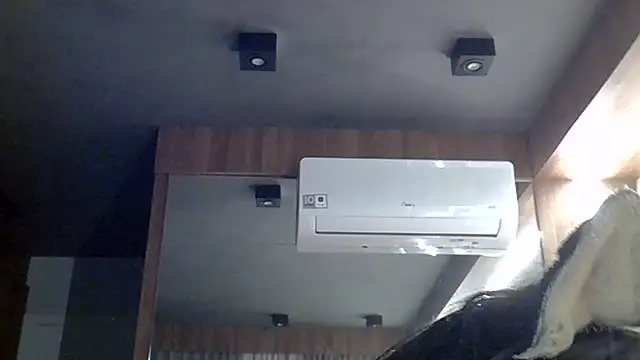 SkinnyKitten webcam