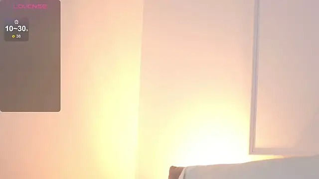 ElaraShine webcam