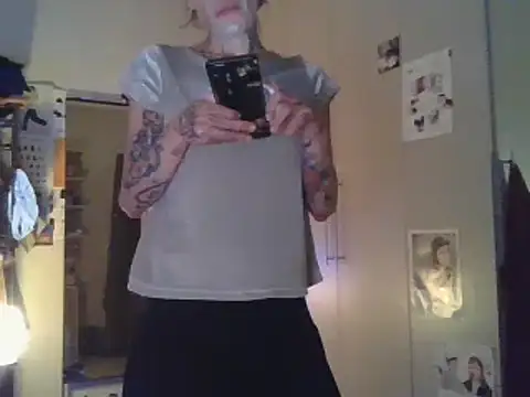 plsmecha webcam