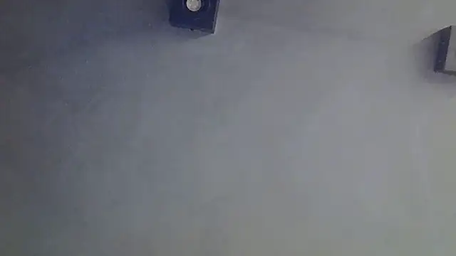 SkinnyKitten webcam
