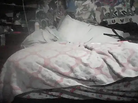 Twoslipperywhenwett webcam