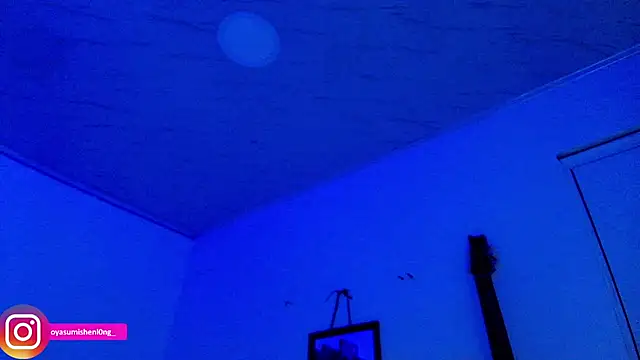 Nicorobinn webcam