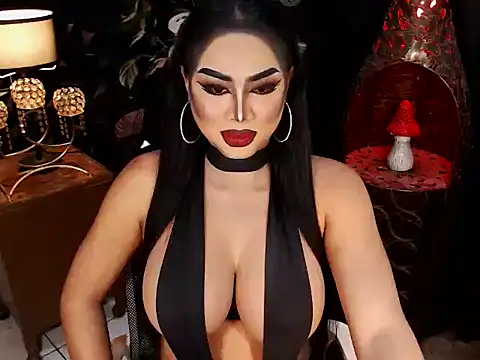 TRANSLUNAA webcam