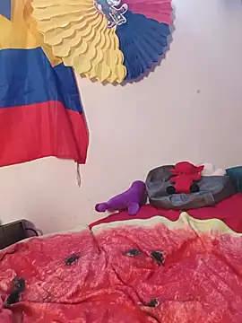 LittleTymmy webcam