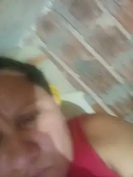 AmordeGirassol webcam
