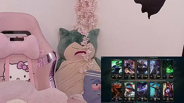 Nami_usagi webcam