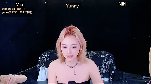 MiNi-U webcam