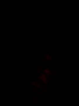 divinityros webcam