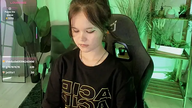 Elainebeness webcam