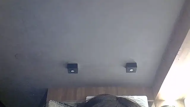 SkinnyKitten webcam