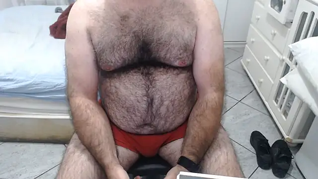 MysterBearMG webcam