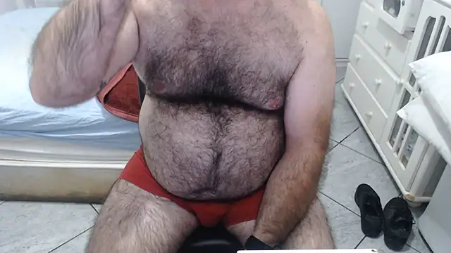 MysterBearMG webcam