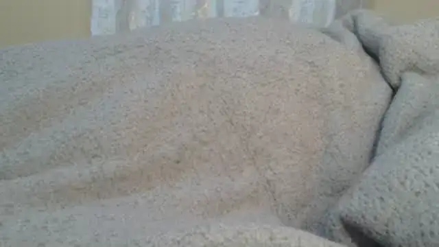 ndivhuwomuleya webcam