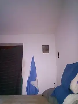 wa379 webcam