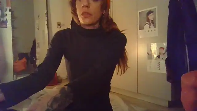 plsmecha webcam