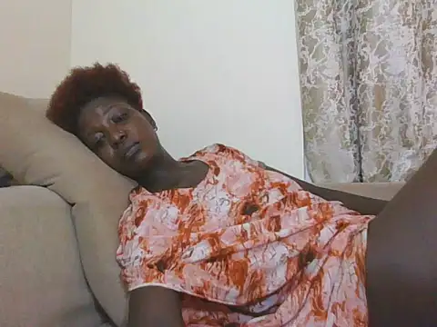 shugabaibe webcam
