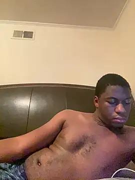 ThickDic28 webcam