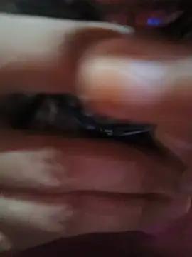 Hansikatelugu webcam