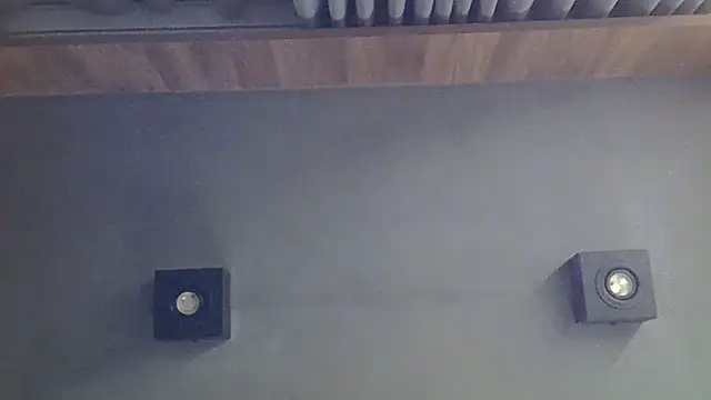 SkinnyKitten webcam