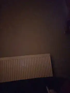 Nidge251 webcam