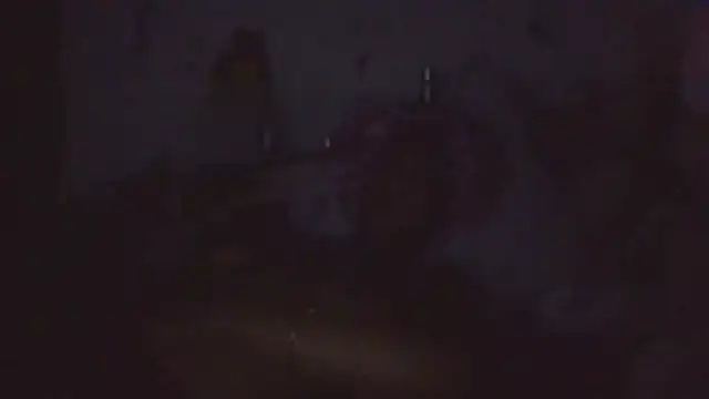paradisejas webcam