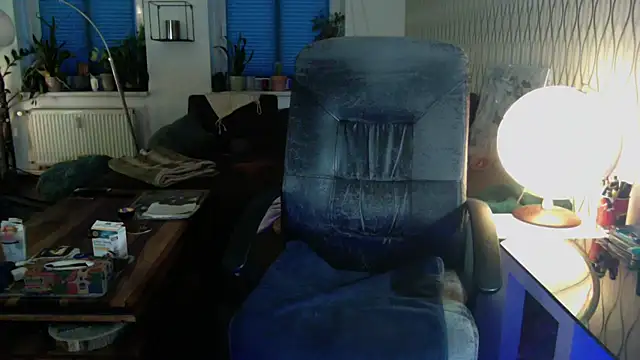 tomz0819 webcam