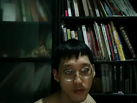 Lv8763 webcam