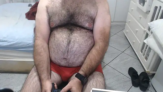 MysterBearMG webcam