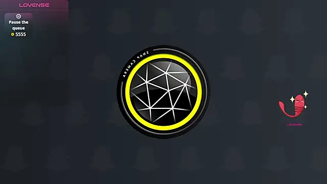 msclassyelegant webcam