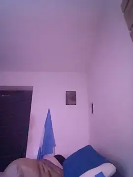 wa379 webcam