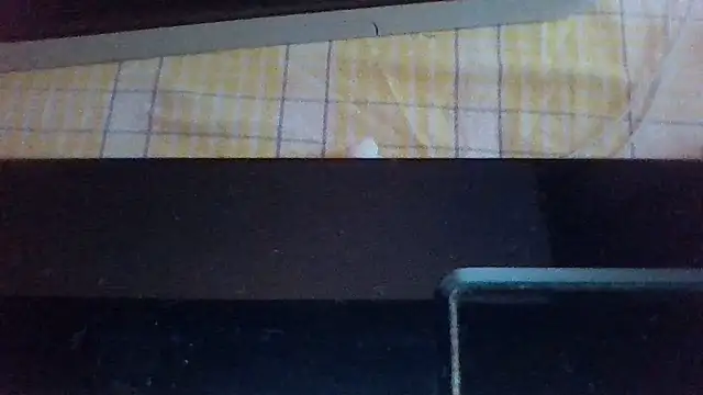 st206boy webcam