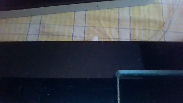 st206boy webcam