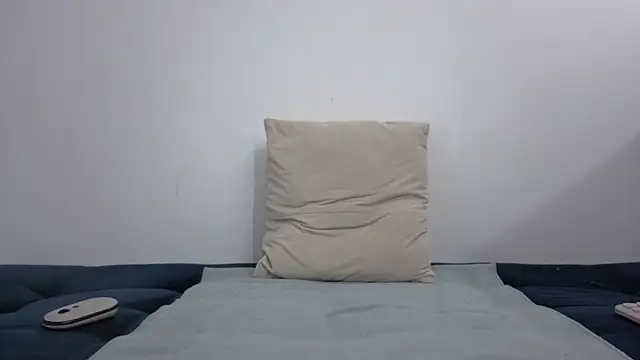 brandy_h9 webcam