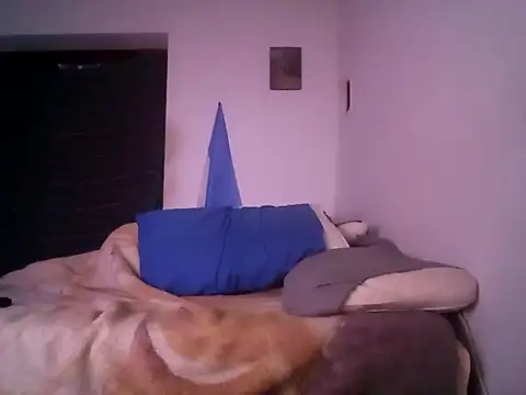 wa379 webcam