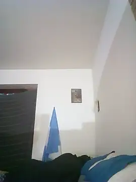 wa379 webcam