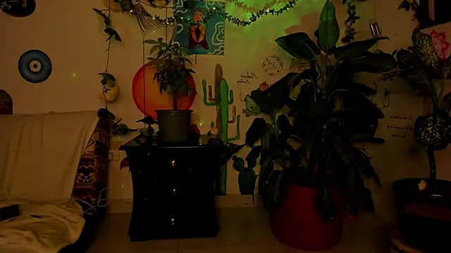 AuroraWishes webcam