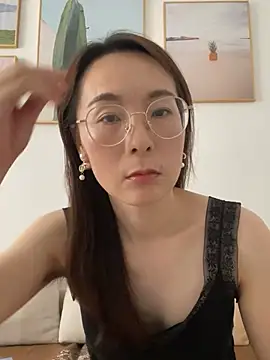 you-520 webcam