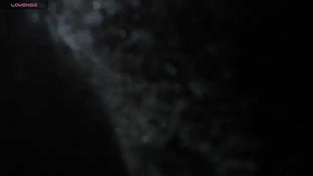 postarLux webcam