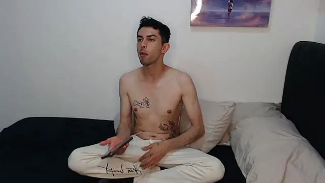 Will-Serfort webcam