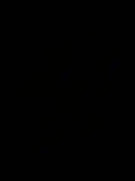 24k_ webcam