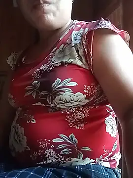 Ip34 webcam