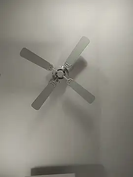 Visto36 webcam